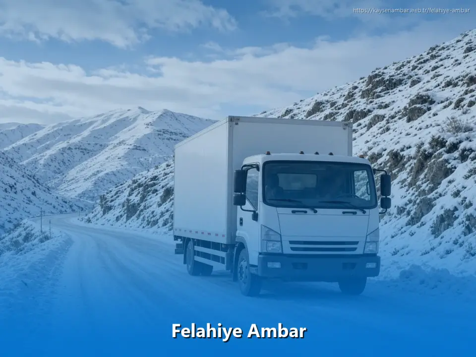 Felahiye Ambar