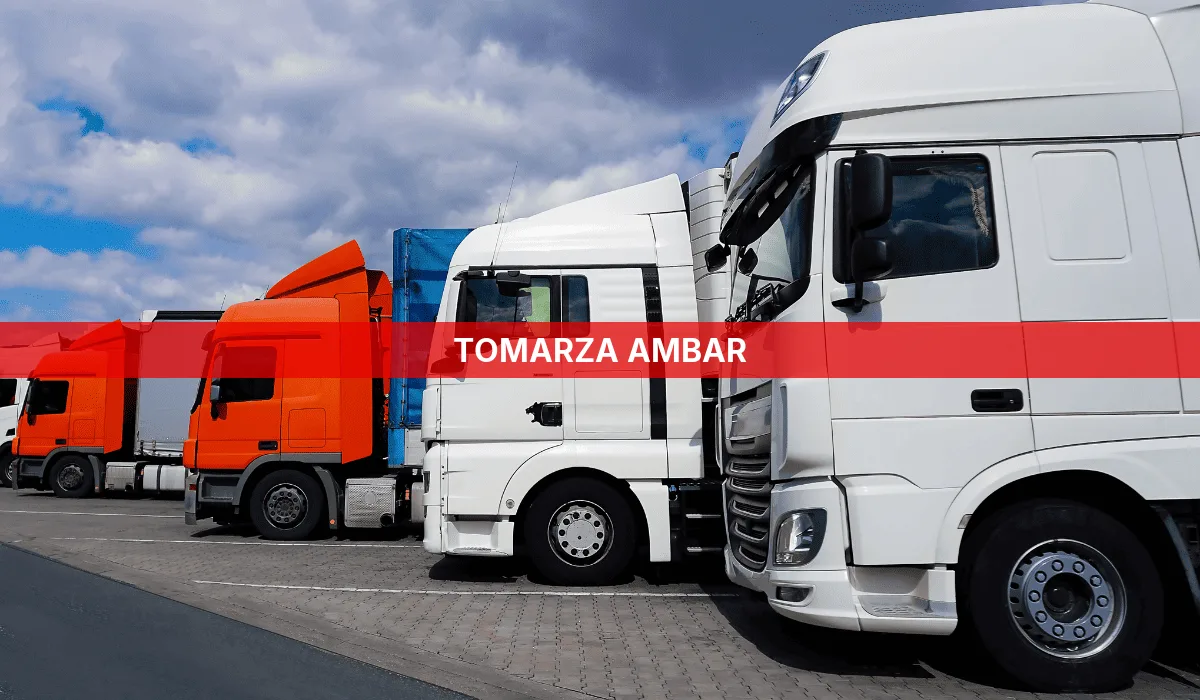 Tomarza Ambar